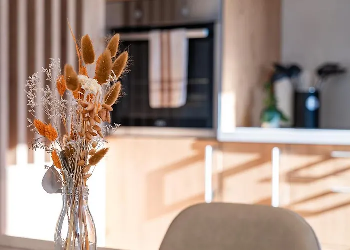 Alp Art Monthey Aparthotel