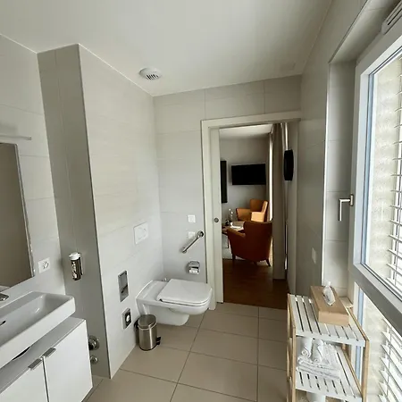 Alp Art Monthey Appart hôtel